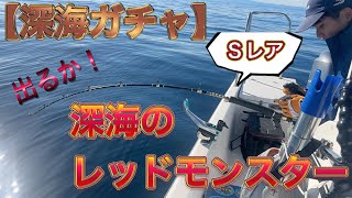 勝負のカギは群れに当たるか！魚探の届かない水深で深海ガチャ！Sレアの高級魚捕獲に挑む！【釣り】/Catch high quality fish from the deep sea! 【fishing】