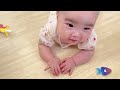 【生後6ヶ月】ほぼ完ミで育ったムチムチなわが子👶🍼