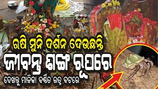 Living Conch/God at Ratna Bata, ରତ୍ନ ବଟରେ ଦର୍ଶନ ଦେଉଛନ୍ତି ରୁଷିମୁନି ଜୀବନ୍ତ ଶଙ୍ଖ ରୂପରେ @AamaGreatOdisha