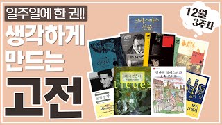 [12월 3주차 추천 도서] 대치동 최원장이 매주 책 골라드립니다! | 초1~중3 주목📚