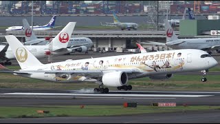 JAL Olympic Games Livery Airbus A350-900 JA06XJ Landing at HND 16R