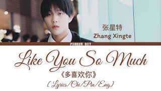 Zhang Xingte(张星特) “Like you so much” 《多喜欢你》 [Lyrics/Chi/Pin/Eng]