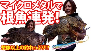 【根魚五目】簡単デイメタル～金丸竜児（かなまる・りゅうじ）