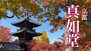 【京都の紅葉】 隠れた紅葉の名所🍁 真如堂 Walk in Shinnyo-do Temple 【4K】2022/11/15