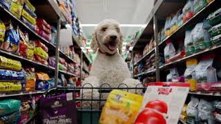 Pet Supplies Plus - Holiday Like You Mean It!