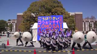 京炎 そでふれ！彩京前線　「彩季」　京大紅萠祭　2015.4.2