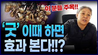 굿 고민하고 계세요? 현직무당이 말해주는 굿 하면 좋은 시기와 그렇지 못한 시기가 있다!? 특히 이 나이 주목!!