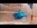 hexbug aquabot 2.0 blue hammerhead shark