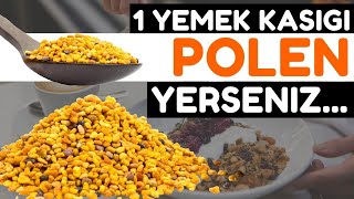 Polenin Bilmediğiniz 10 İnanılmaz Faydası | Polenin Faydaları Nelerdir? | Polen Nasıl Kullanılır?