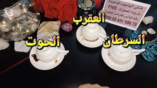 فنجان برج السرطان،العقرب،الحوت قراءة تفصيلية طاقة زمنية مفتوحه الابراج المائية⛲️بشرةخيروأهم التوقعات