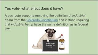 Explaining the issues: Amendment X