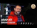 Serdar Coşgun - Arap Atı Gibi Sallar Başını