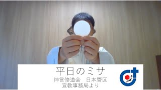 復活の月曜日ミサ　2022年4月18日