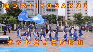 【踊っぺYOSAKOI オットどっこい郡山】あさか野YOSAKOI王舞神ジュニア、一夜舘 8K 30fps