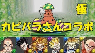 【パズドラ】カピバラさんコラボ 極 ドラゴンボールPTで挑戦！