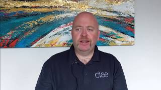 Meet a CIEE Local Coordinator: Tom