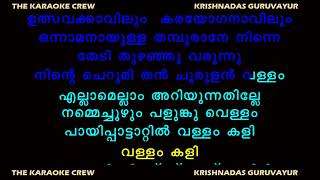 പായിപ്പാട്ടാറ്റിൽ വള്ളംകളി🌹🌹🌹