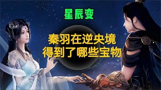 星辰变：秦羽在逆央境中都得到了什么宝物？