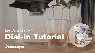 beanz.com | How to dial-in Belly Warmer espresso by Methodical and the Barista Pro™ | Breville USA