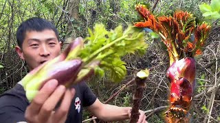 Half a catty of thorn buds, each tree has more than a dozen, one sickle and one thorn bud