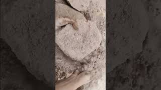 #asmrcrumble #dustycrumbles #satisfying #crunchycrumbles #sleepsounds #clay #asmrsounds