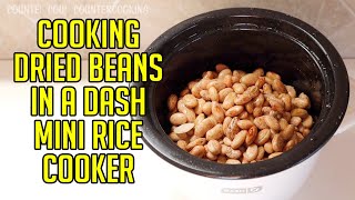 Cooking Dried Beans In A Dash Mini Rice Cooker