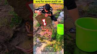 স্লাপের নিচে ভয়ানক হোয়াইট স্নেক..😳 || White Snake Tools Item \u0026 Amazing fishing skills #shorts #ews