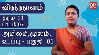 பாடம் 07  -  அமிலம்,மூலம்,உப்பு (பகுதி 01) | தரம் 11  தமிழில் விஞ்ஞானம்