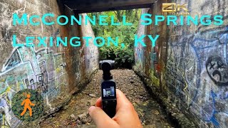 McConnell Springs - Lexington, Kentucky - 4K Virtual Walk - Slow TV