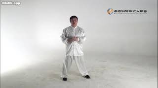 Do you want to become a world-class kung fu master? 南京洪传陈式“太极拳”：筑基功（基础篇）24 视频全集 23、右冲