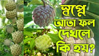 স্বপ্নে আতা ফল দেখলে কি হয় | shopne ahta phol dekhle ki hoy | shopner bekkha | swopner tabir | ZBE