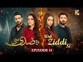 Woh Ziddi Si - Episode 11 - 18th October 2024 [ Aina Asif & Ali Abbas ] - HUM TV