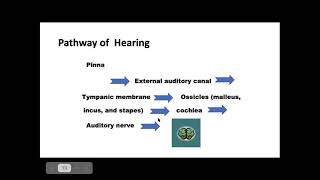 HSI Zoom Instructional Video 04:15:2021