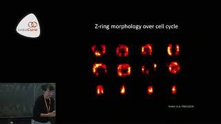 Structure and dynamics, crossing scales with super-resolution microscopy - Suliana Manley
