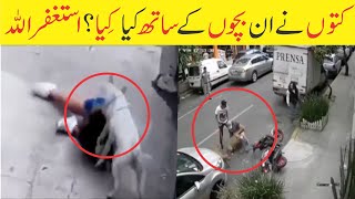 Kutton ne in bchonb k sath Kia Kia. کتوں نے ان بچوں کے ساتھ کیا کیا؟ استغفراللہ