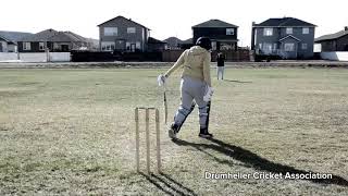 Batting on windy and cloudy day with sunny beaks in Drumheller, AB, CA