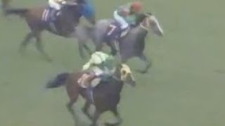 第４８回　優駿牝馬（オークス） （ＧⅠ）　マックスビューティ　牝３　55　田原成貴　1987.5.24　　出走馬：クリロータリー、タレンティドガール、コーセイ、トップコート、メジロフルマー他