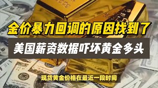 (01/05/2024)金价暴力回调的原因找到了！美国薪资数据吓坏黄金多头 以色列传来重磅消息 金价接下来如何走？| #美联储 #金价 #美元 #黄金