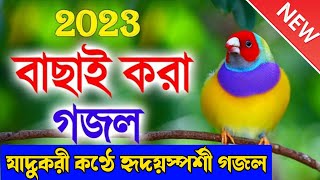 বছরের সেরা নাতে রাসুল (সাঃ) | ইয়া মুহাম্মাদ মোস্তফা গো | New Bangla Islamic Gojol 2023