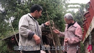 農村荒山岩石下，兩兄弟安放一個陷阱，一晚上的時間還有爪子印【小英子和小萍子】