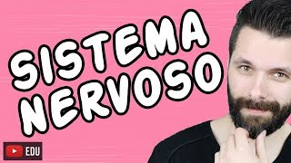 SISTEMA NERVOSO - FISIOLOGIA - Aula | Biologia com Samuel Cunha