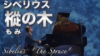 シベリウス 樅の木 Op.75-5 Sibelius \