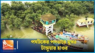 পর্যটকের পদভারে মুখর হয়ে উঠেছে টাঙ্গুয়ার হাওর | Sunamganj | Mohona TV