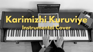 Karimizhi Kuruviye - Instrumental Cover by Rejo Abraham Mathew | Meesha Madhavan