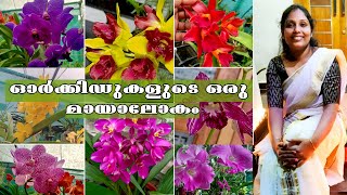 ORCHID GARDEN TOUR / ഒരു വീട്ടമ്മയുടെ ഓര്‍കിഡ് തോട്ടത്തിലെ വിശേഷങ്ങള്‍/ RACHOOS ORCHIDS