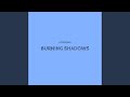 Burning Shadows