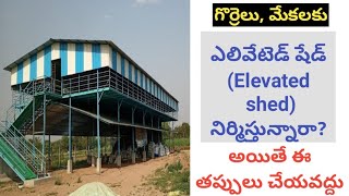 Elevated Shed for Sheep, Goat | Certain Do's and Donor's | ఎలివేటెడ్ షేడ్ | Dr. Madankumar Vet