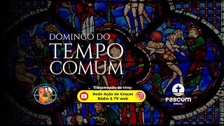 7º Domingo do Tempo Comum