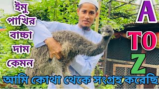 ইমু পাখির বাচ্চার দাম কেমন  আমি কোথা থেকে সংগ্রহ করেছি,,emu bird.