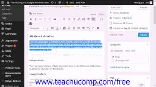 WordPress 4.0 Training Tutorial Using the Read More Tag and Excerpts